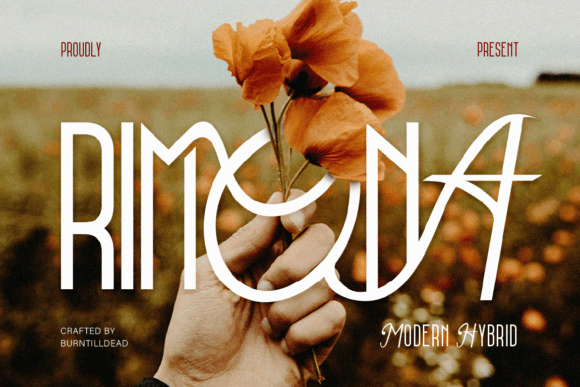 Say Hello to Rimona: Where Modern Hybrid Meets Elegant Touch